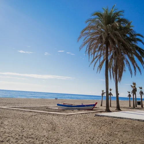 06dc13_52863a0a0bc14c639e31773afa74e719~mv2