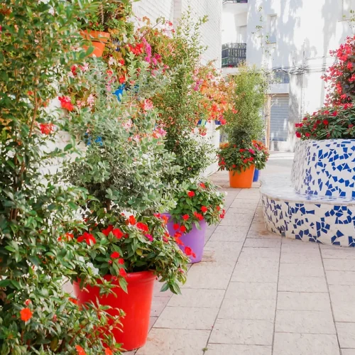 06dc13_60f1245873884d9dbe0ed8012cc13bb8~mv2