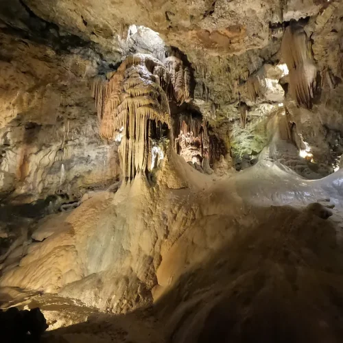 06dc13_ad43999b17c542b591b3d400a370ed08~mv2