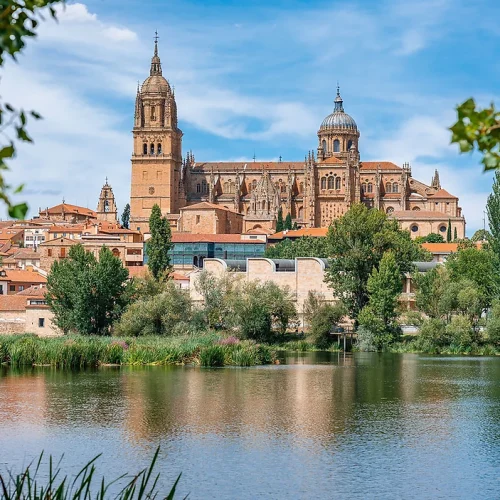 46dd91_91f51818c4954a8aa960bca421df8b97~mv2